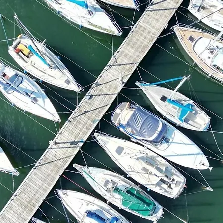 Seepferdchen Marina *