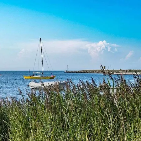 Dom wakacyjny Seepferdchen Marina